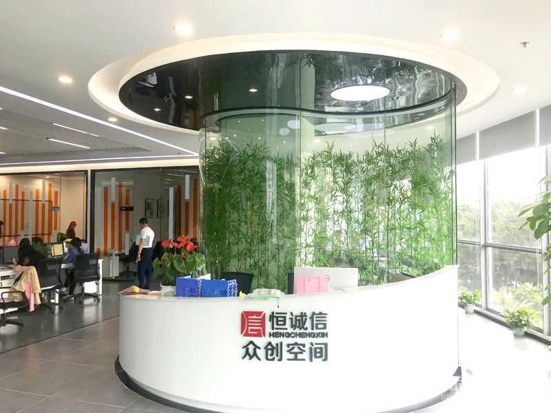 前台-实拍-小黄片大全下载装修